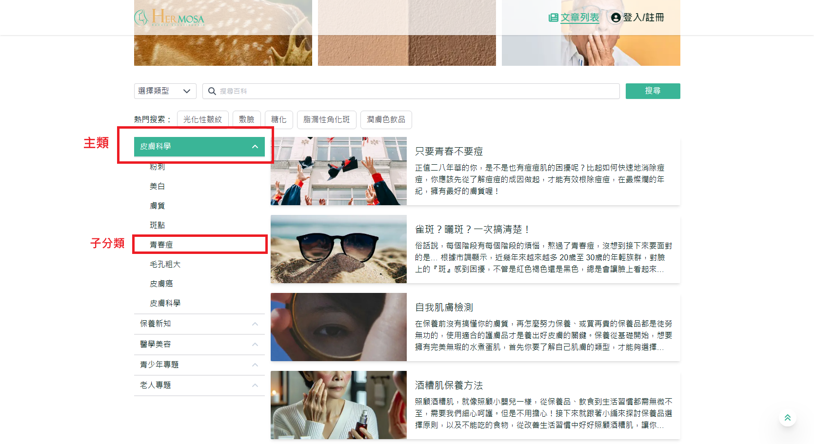 按分类搜索文章